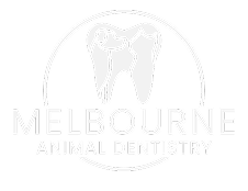 Melbourne Animal Dentistry